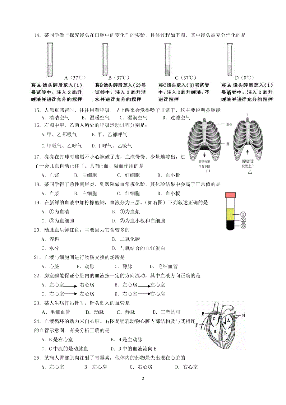 2015七下模拟题_第2页