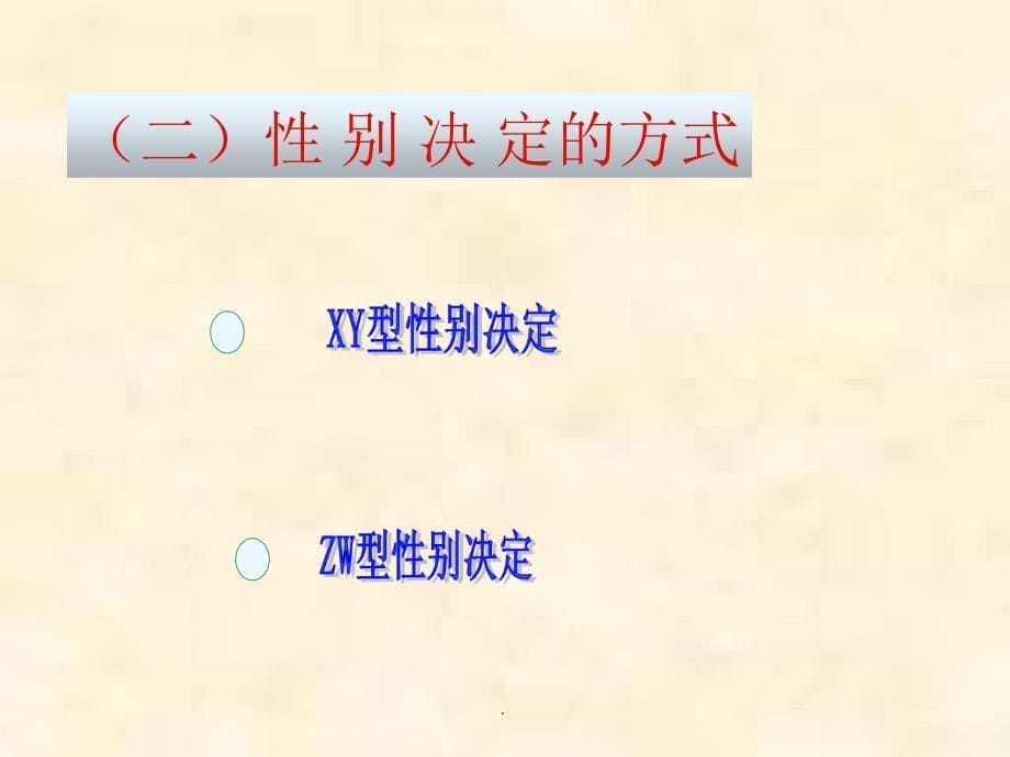 《伴性遗传》分析PPT演示课件_第5页