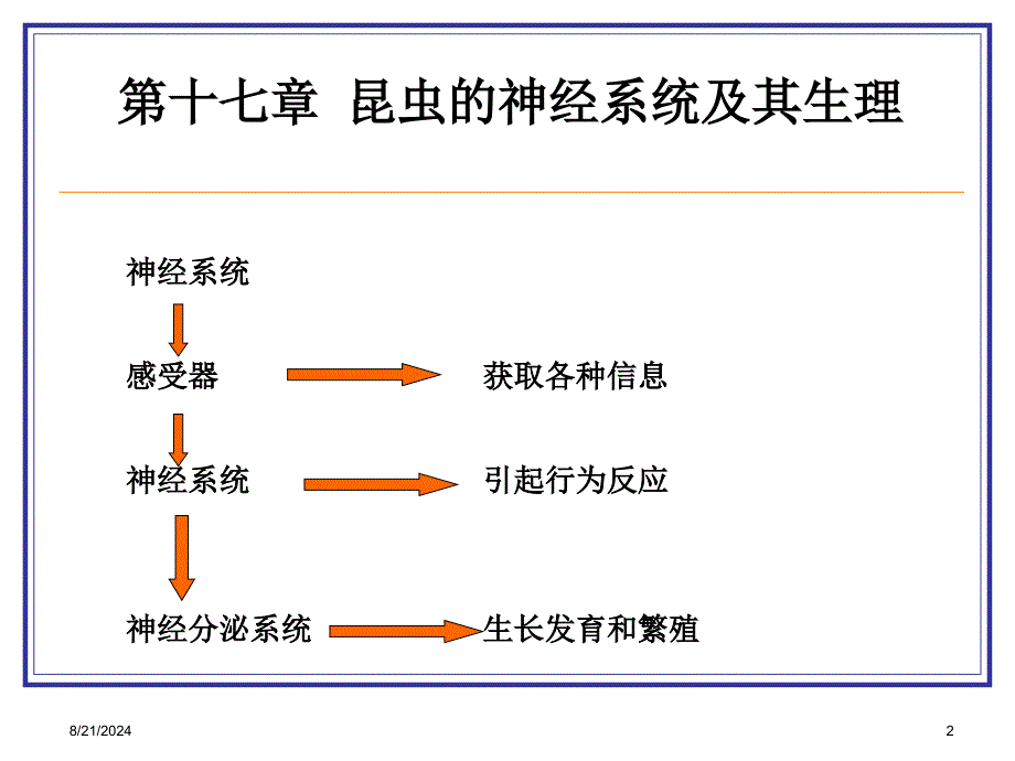 《昆虫的神经系统》PPT课件.ppt_第2页