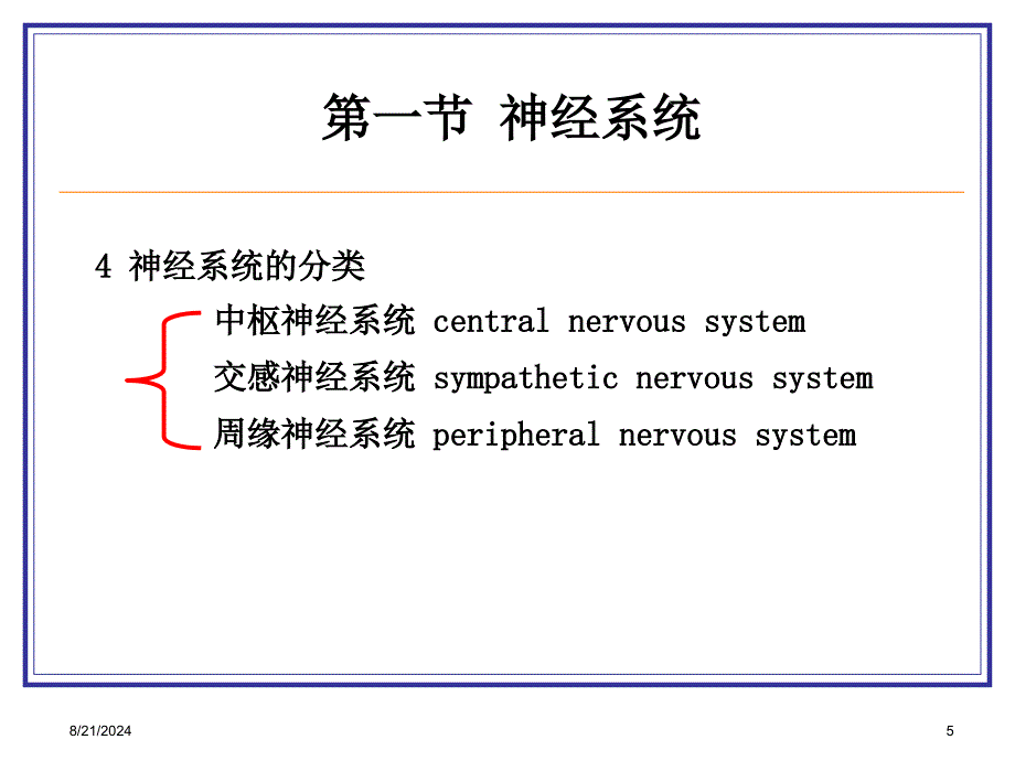 《昆虫的神经系统》PPT课件.ppt_第5页