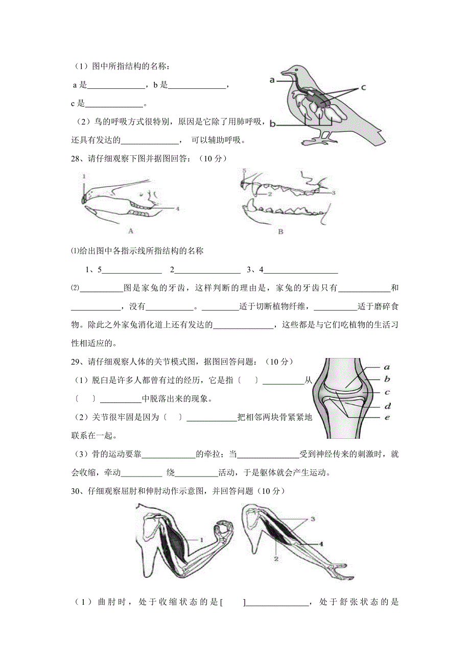 江西省九江县2010—2011年度上学期八年级生物期中试卷.doc_第4页