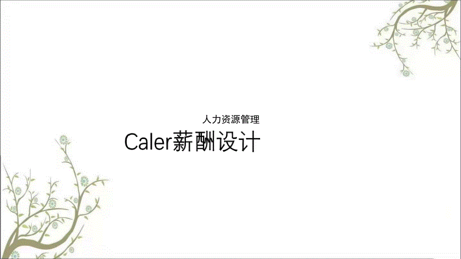 Caler薪酬设计方案课件_第1页