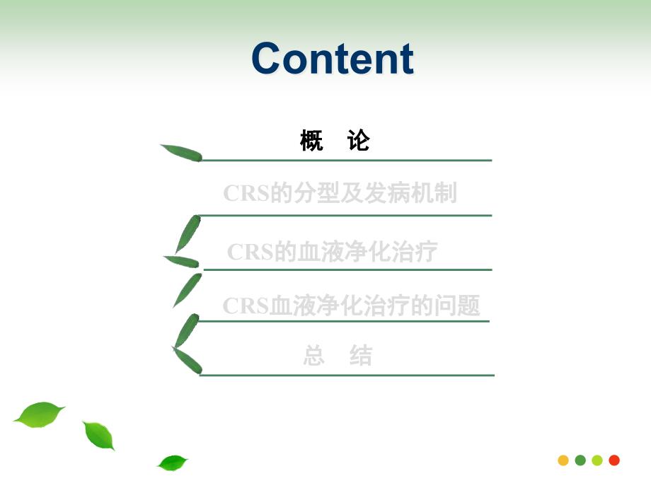 CRRT与心肾综合征.ppt_第3页