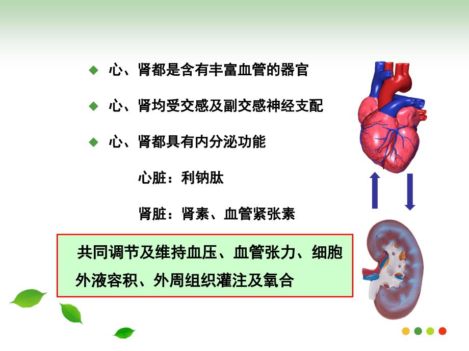 CRRT与心肾综合征.ppt_第4页