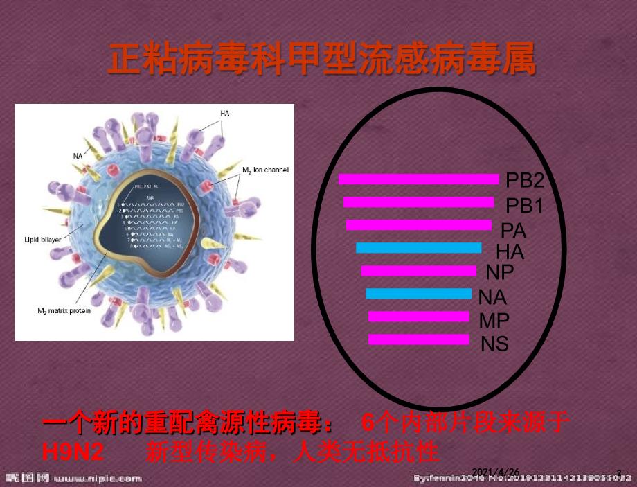 人感染H7N9禽流感诊疗方案07811_第2页