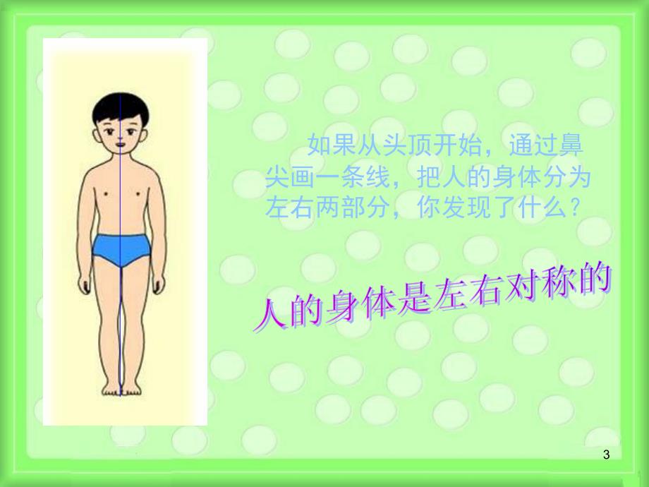 身体的结构课堂PPT_第3页