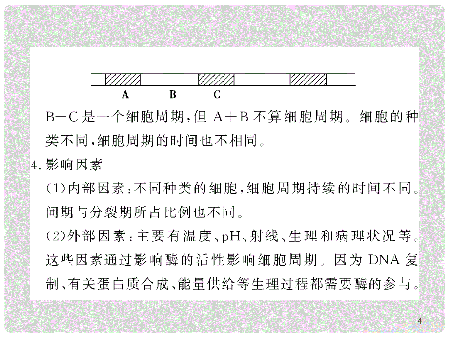 高三生物一轮复习课件第五章 细胞增殖、分化、衰老和凋亡苏教版_第4页