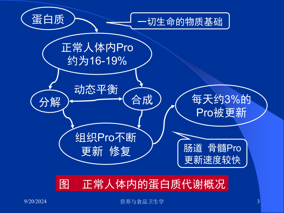 营养与食品卫生学课件_第3页