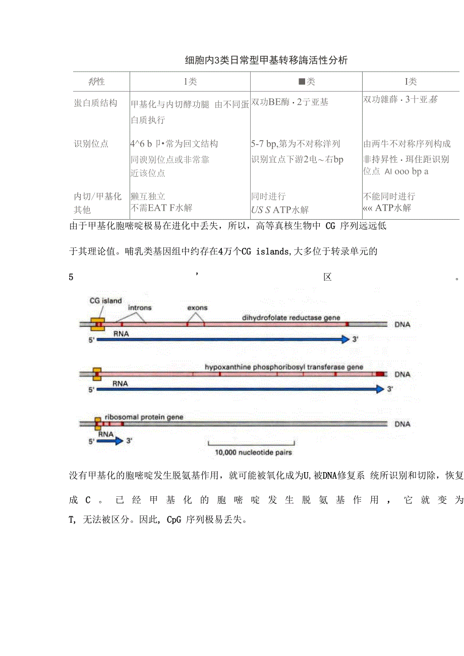 一、 DNA甲基化与基因表达_第2页