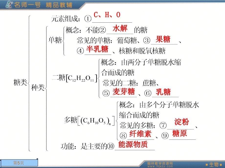 生物必修一第二章第四节_第5页