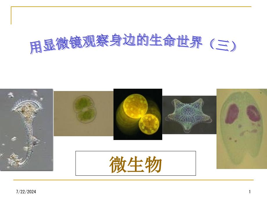 用显微镜观察身边的生命世界(三)_第1页