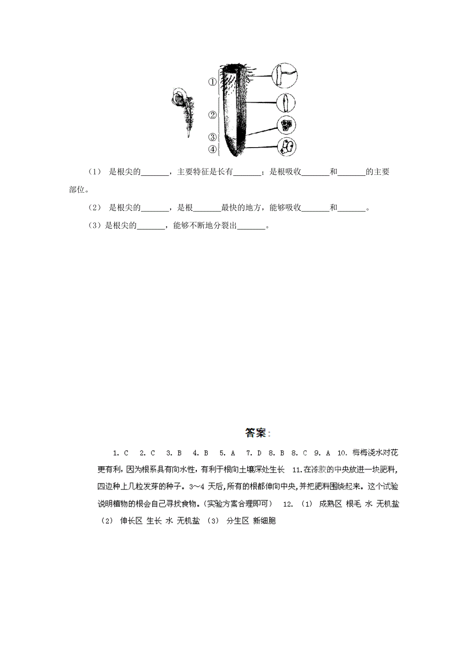 江苏省七年级生物上册 3.5.2《植物根的生长》课时训练（无答案）（新版）苏教版_第3页