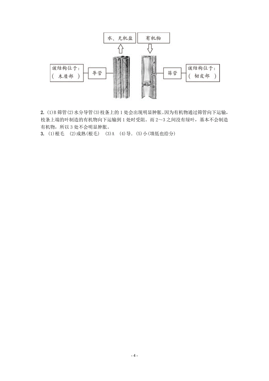 水分进入植物体内的途径_第4页