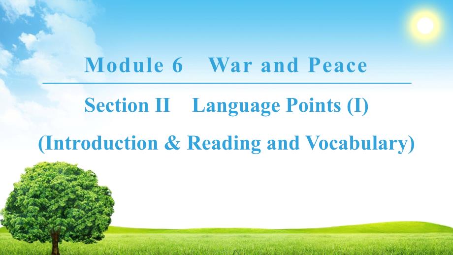 Module6SectionLanguagePoints_第1页