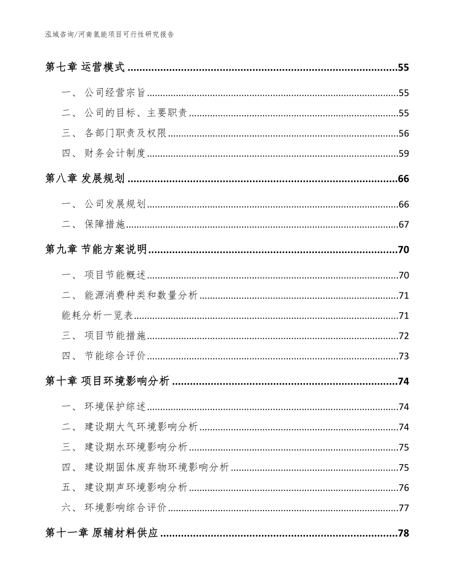 河南氢能项目可行性研究报告（模板参考）_第4页