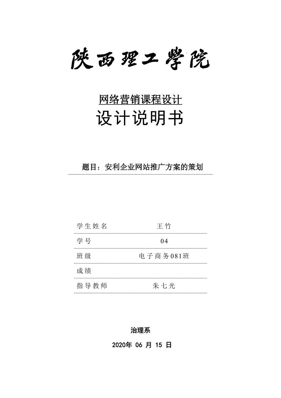 网络营销课程设计说明书安利企业网站推行方案的策划_第1页