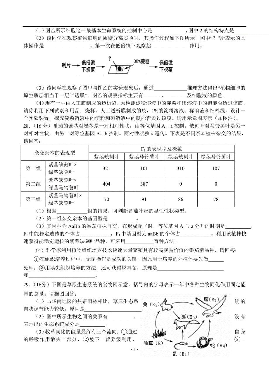 广东省揭阳市2012-2013学年高二下学期学业水平考试理综试题.doc_第5页