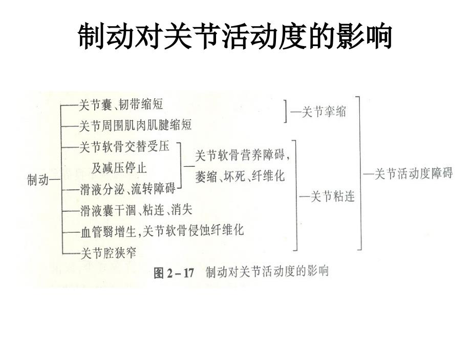 康复患者被动关节活动度训练_第4页