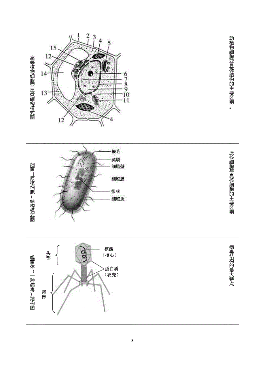 高中生物绘图题.doc_第3页