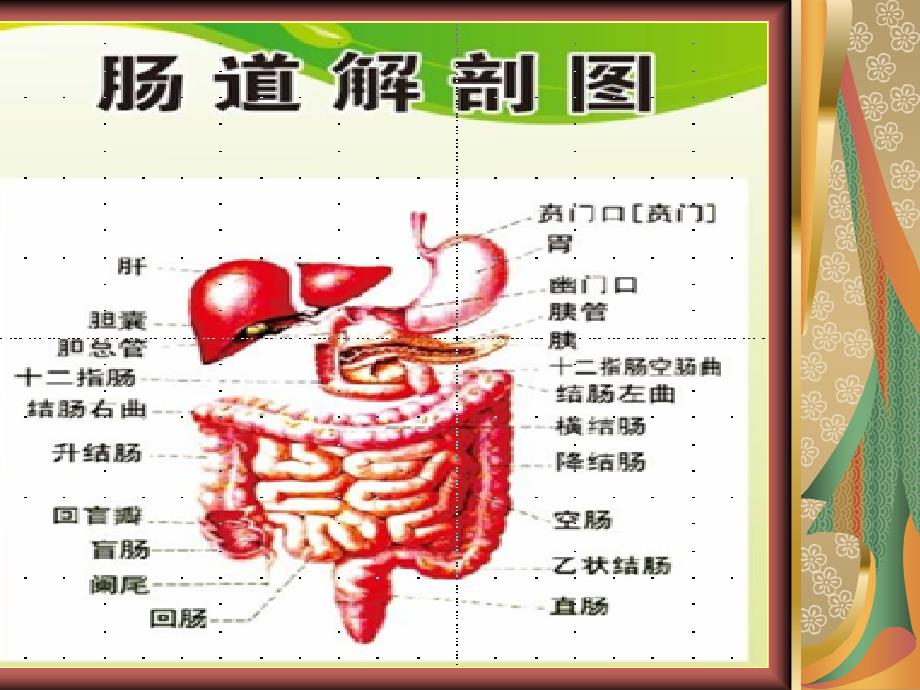 结肠镜检查前肠道准备和术后指导.ppt_第2页