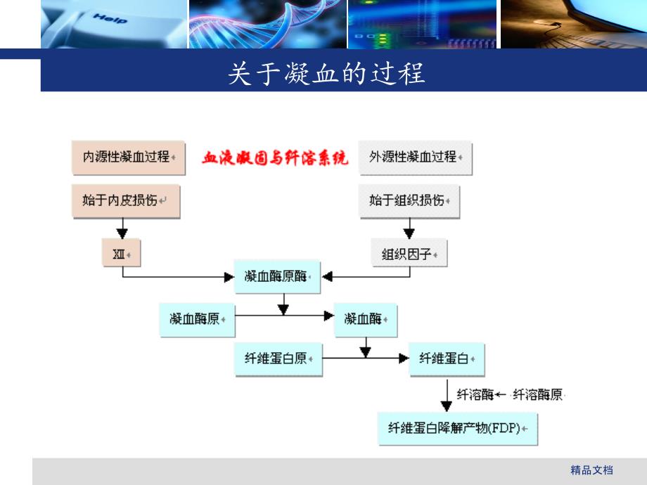 氨甲环酸在骨科中的应用情况课件_第2页