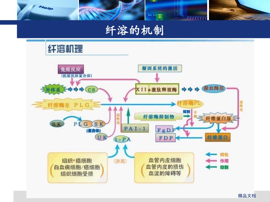 氨甲环酸在骨科中的应用情况课件_第3页