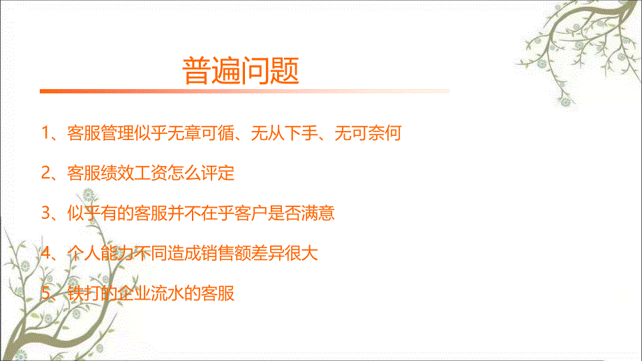 某电商在线客服方案推荐收听焚天课件_第2页