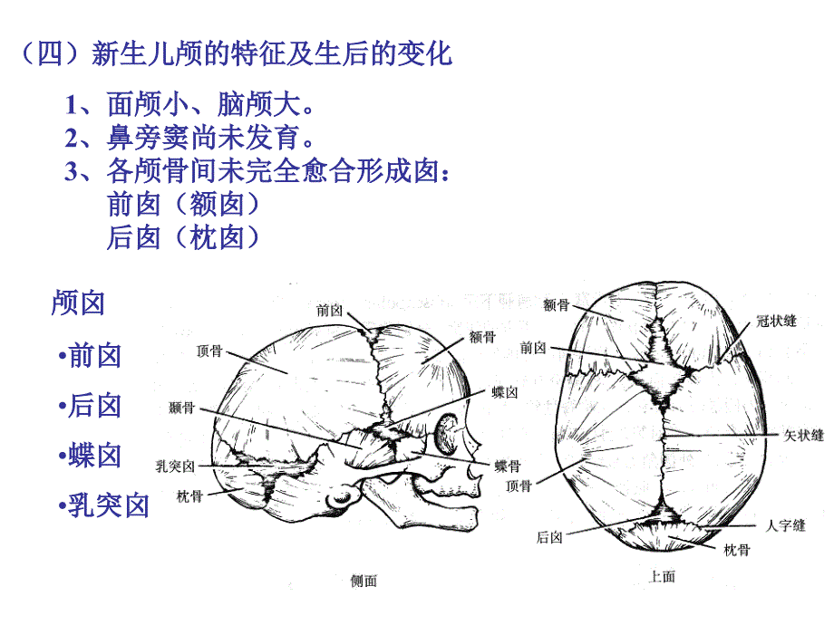 颅脑影像解剖与病变3_第3页