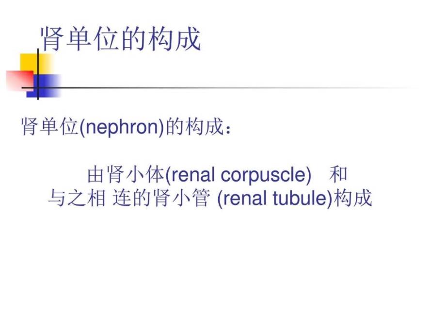 5161血液透析的基本原理图文.ppt16_第2页