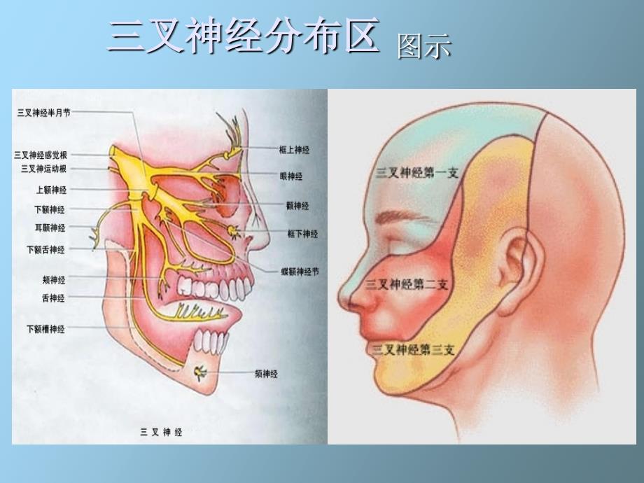 京城专治脸三叉神经痛的方法_第3页