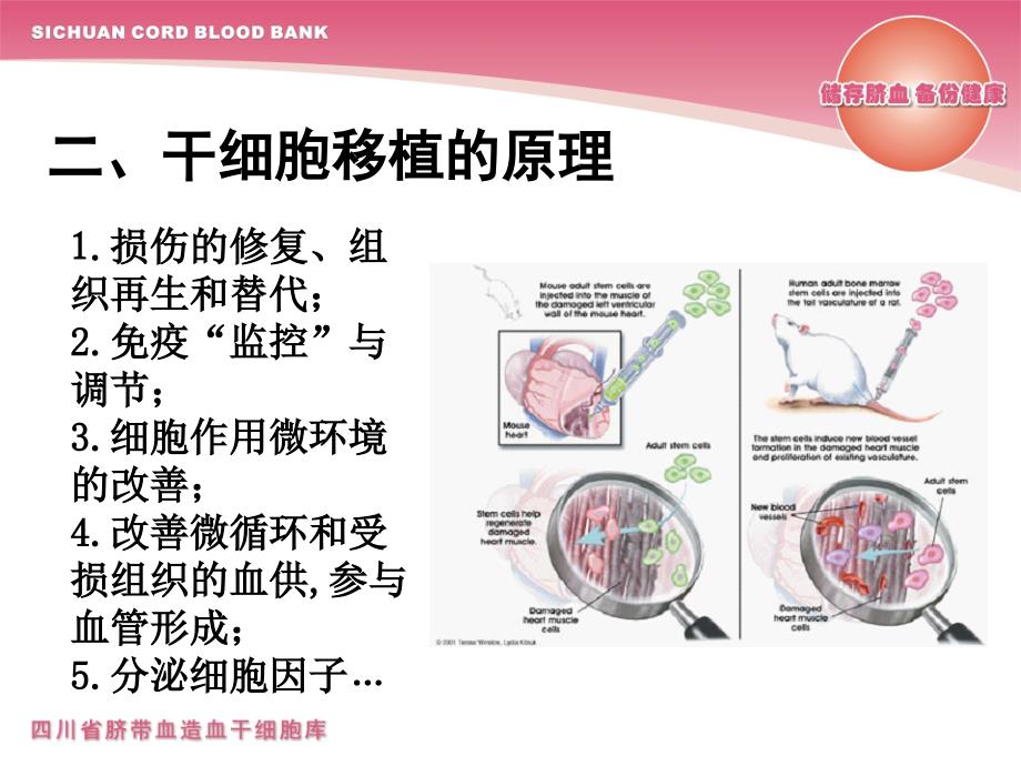 脐带血干细胞的临床应用_第3页