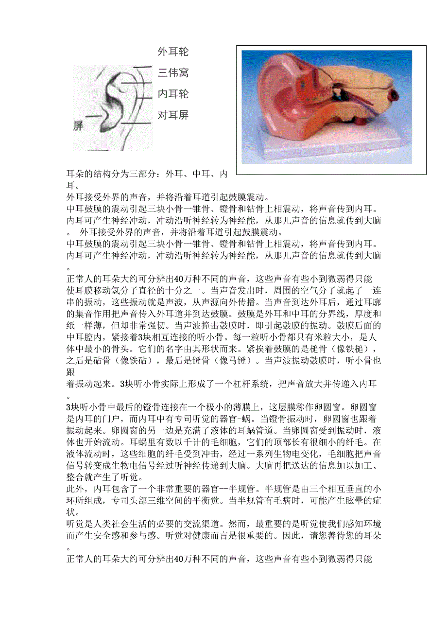 耳朵的结构分为三部分_第1页