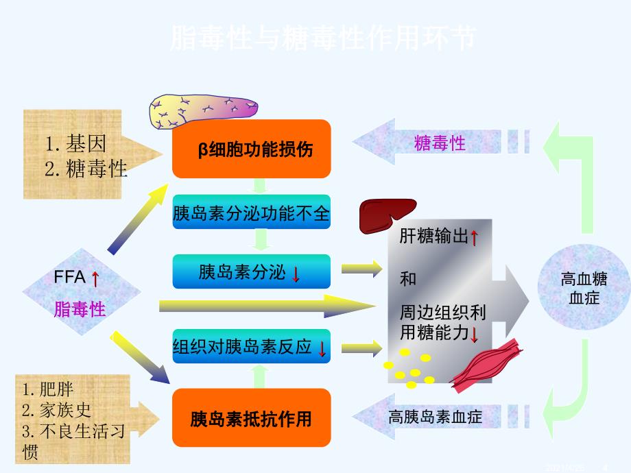 糖尿病及降糖药物ppt医学课件_第4页