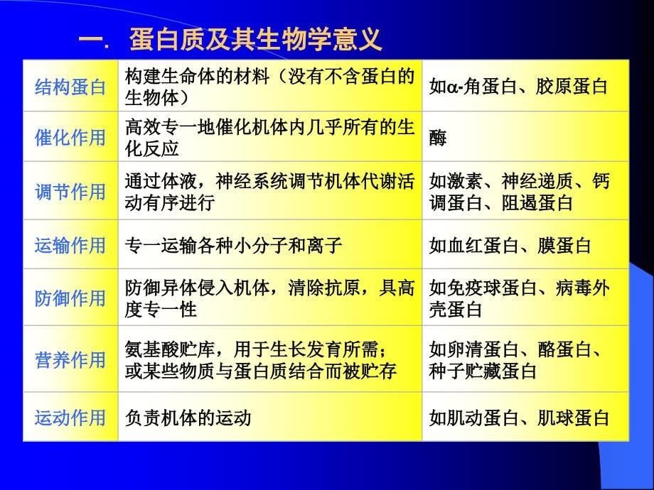 生物化学第一章蛋白质化学_第5页