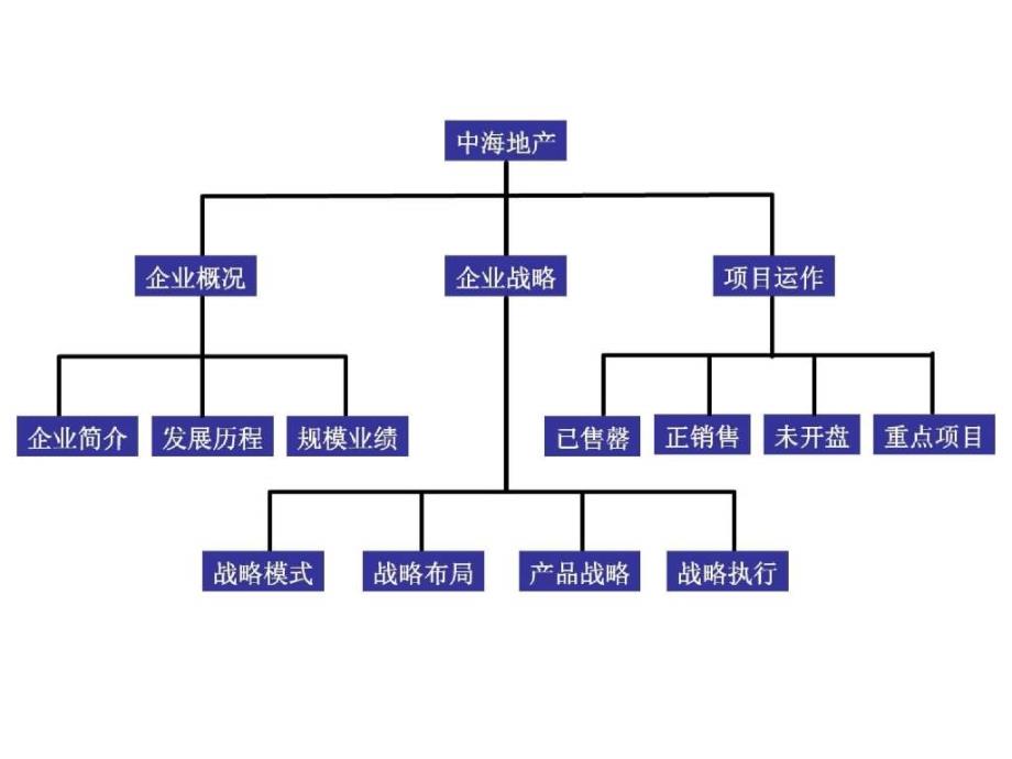 中海地产企业及项目运作研究_第3页