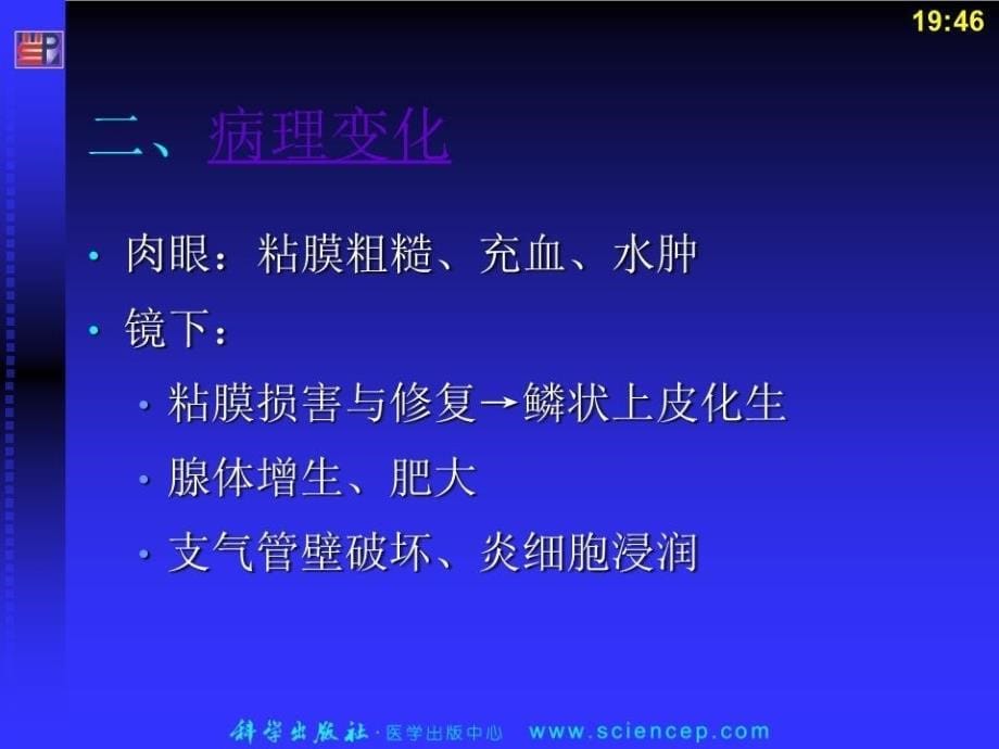 呼吸系统疾病病理学基础教学_第5页