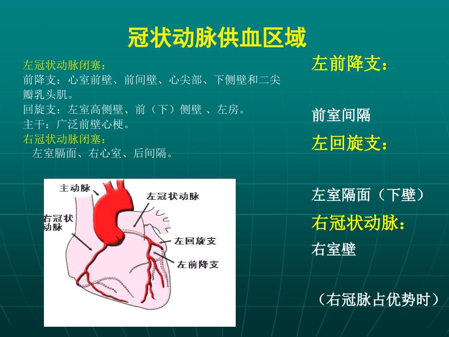 冠状动脉供血区域_第1页