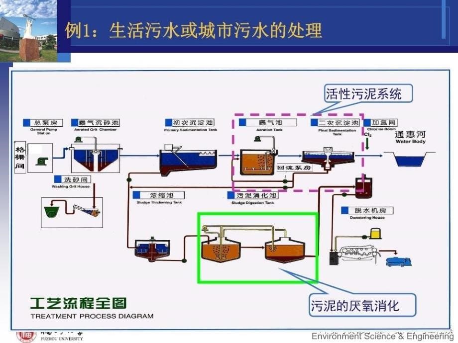 废水生物处理的基本概念和.ppt_第5页