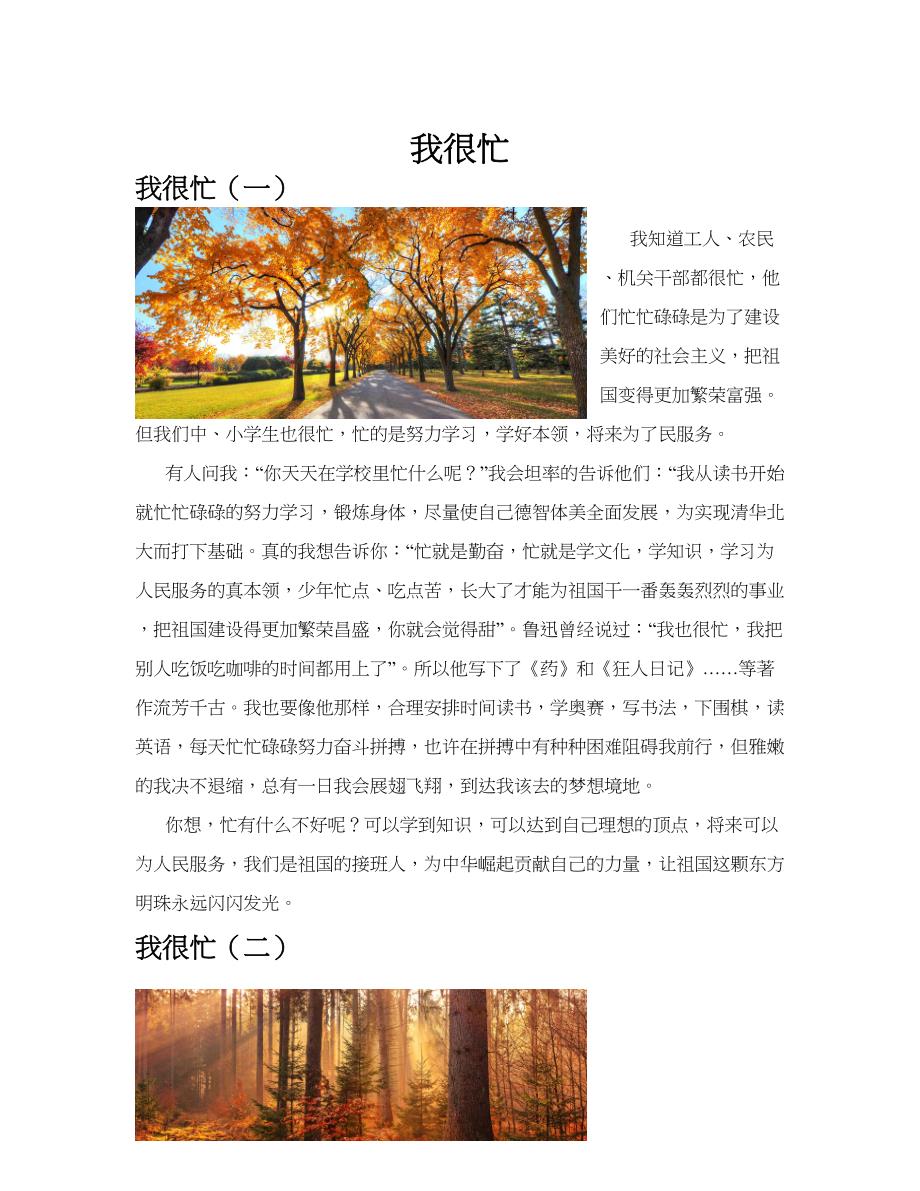 我很忙(共10篇).docx_第1页