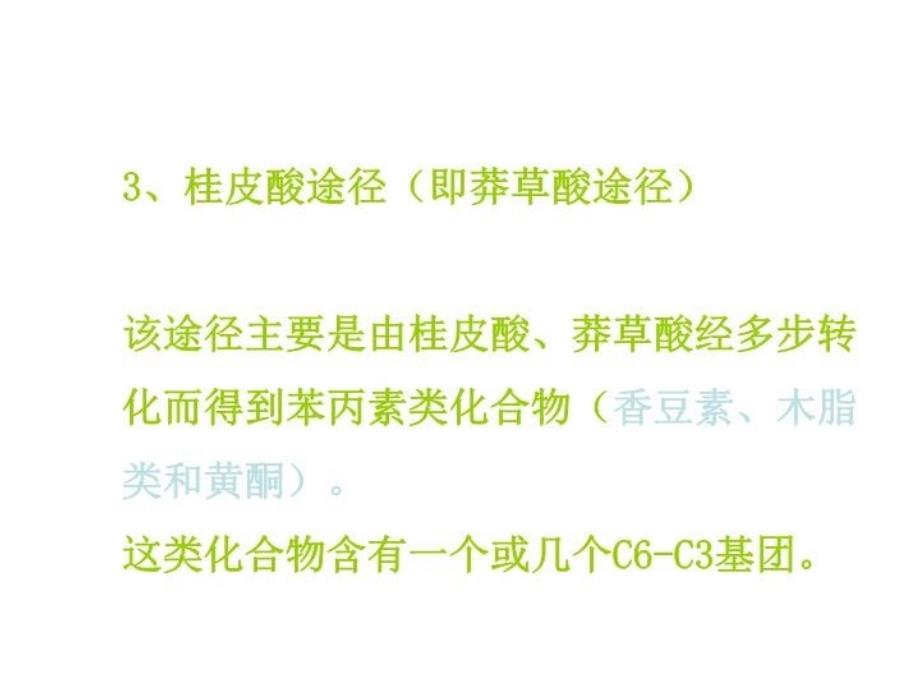 最新天然药化考前串讲ppt课件_第4页