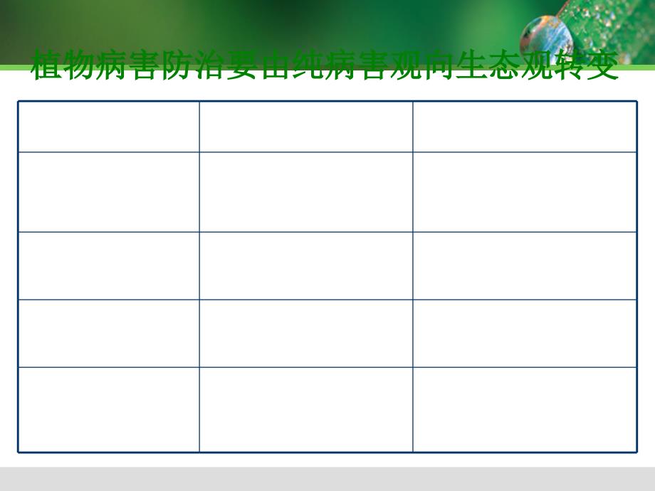 植物病害治理课件_第4页