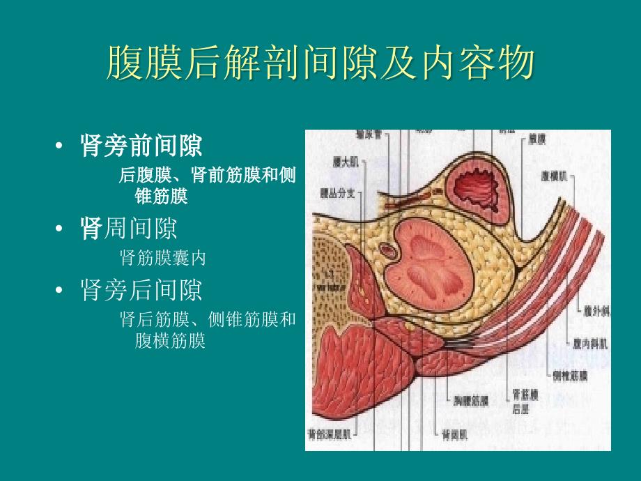 腹膜后原发肿瘤CT_第4页