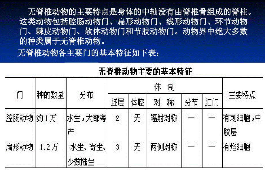 省竞赛辅导--动物分类2_第2页