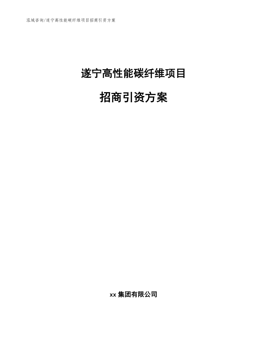 遂宁高性能碳纤维项目招商引资方案参考范文_第1页