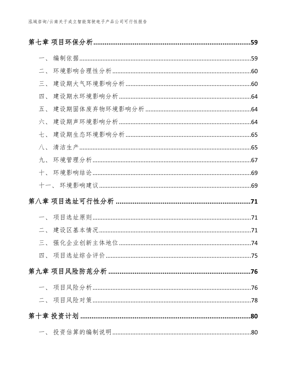 云南关于成立智能驾驶电子产品公司可行性报告_范文模板_第5页