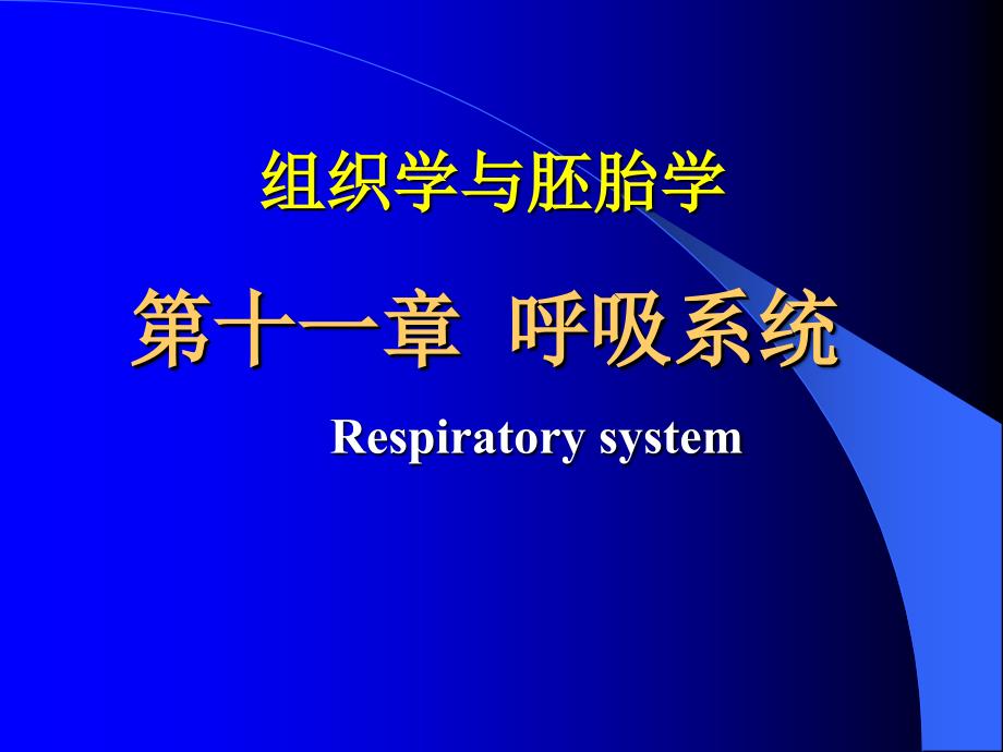 组胚呼吸系统_第1页