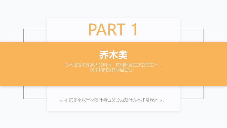 广东湛江常见苗木图册_第4页