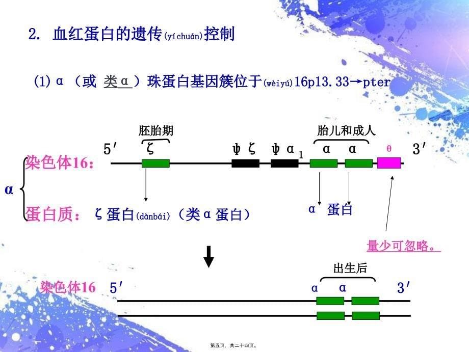 医学专题—第九章-分子病与代谢缺陷病4474_第5页