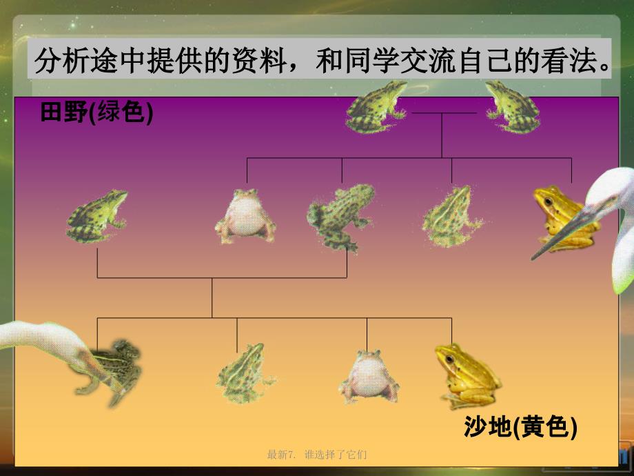 最新7.谁选择了它们_第4页