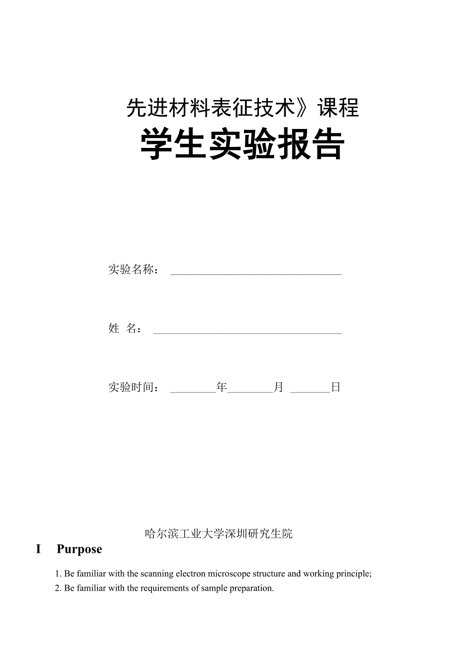 SEM实验报告(英文)_第1页